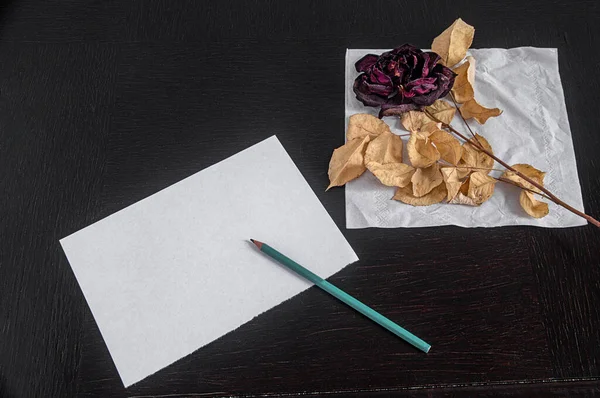 SONY. Several variants of paper for writing notes with a certain nostalgic content, with a withered rose showing how long ago the note was written, photographed in a studio under artificial lighting, from above.