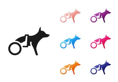 Tekerlekli sandalyedeki siyah kötürüm köpek beyaz arka planda izole edilmiş. Simgeleri renklendirin. Vektör