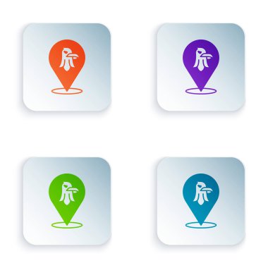 Renkli Kartal simgesi beyaz arkaplanda izole edildi. Amerikan başkanlık sembolü. Kare düğmelere renkli simgeleri yerleştir. Vektör