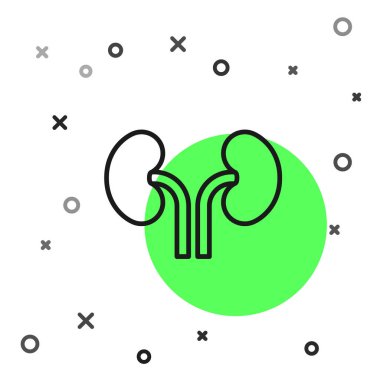 Siyah çizgi insan böbrekleri beyaz arka planda izole edilmiş. Vektör