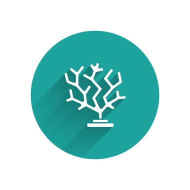 Beyaz Mercan simgesi uzun gölgelerle izole edilmiş. Yeşil daire düğmesi. Vektör.