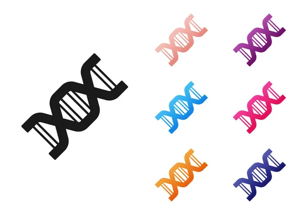 검은 DNA 상징 아이콘은 흰 배경에서 분리되었습니다. 성화를 화려하게 배열 한다. Vector — 스톡 벡터