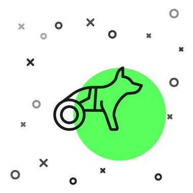 Tekerlekli sandalyedeki siyah çizgi felçli köpek beyaz arka planda izole edilmiş. Vektör