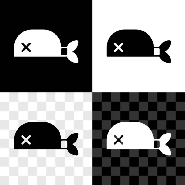 Set Pirate bandana for head icon isolated on black and white, transparent background. Vector — Image vectorielle