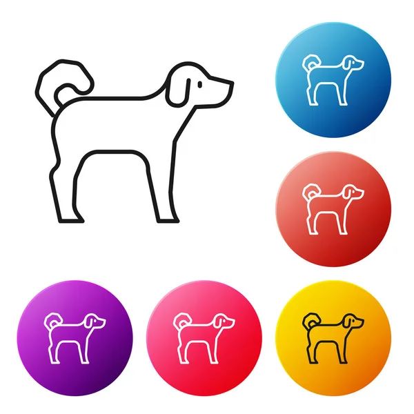Ícone de cão de linha preta isolado no fundo branco. Definir ícones coloridos botões círculo. Vetor —  Vetores de Stock