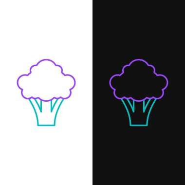 Brokoli çizgisi simgesi beyaz ve siyah arkaplanda izole edildi. Renkli taslak konsepti. Vektör