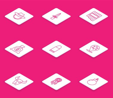 Set line Western cowboy hat Dagger Pan flute Money bag Bullet Hexagram sheriff Buffalo skull and Dream catcher with feathers icon. Vector.