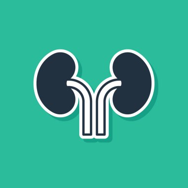 Yeşil arka planda mavi insan böbrekleri ikonu var. Vektör