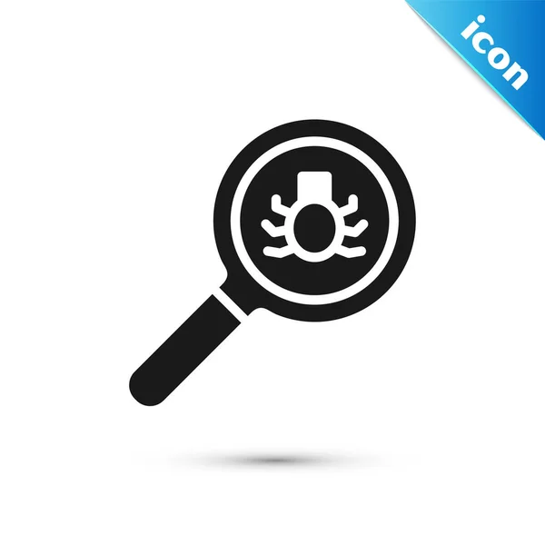 Grey Flea Search Icon Isolated White Background Vector — Stockový vektor
