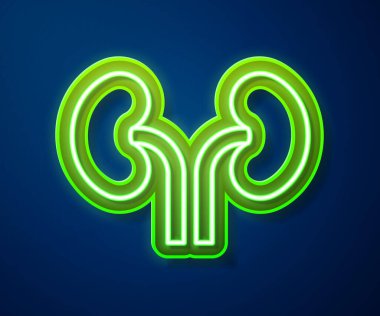 Glowing neon line Human kidneys icon isolated on blue background. Vector.