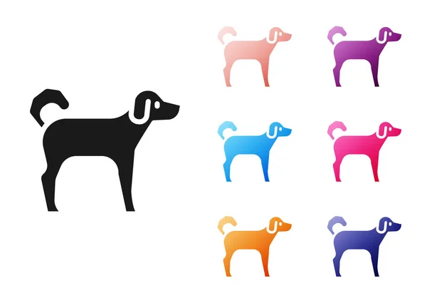 Icono Perro Negro Aislado Sobre Fondo Blanco Establecer Iconos Colores — Vector de stock