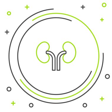 Beyaz arka planda izole edilmiş çizgi insan böbrekleri ikonu. Renkli taslak konsepti. Vektör.