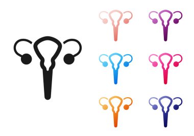 Siyah Kadın üreme sistemi simgesi beyaz arkaplanda izole edildi. Anatomi. Jinekoloji. Kadın sağlığı. Simgeleri renklendirin. Vektör.