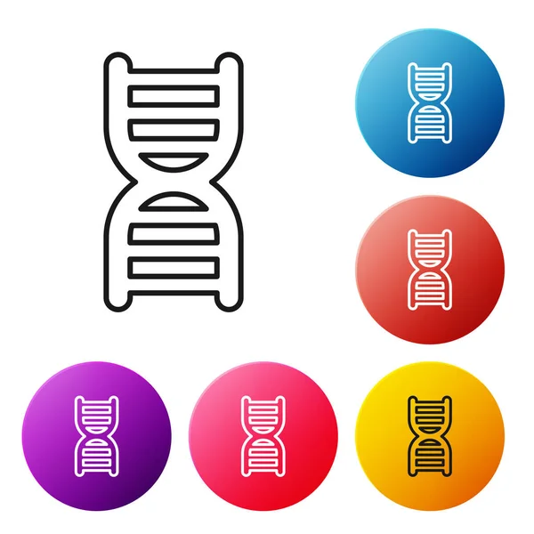 Black Line Dna Symbol Icon Isolated White Background Set Icons — Stock Vector