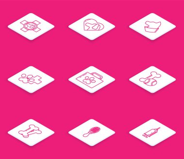 Cat Pet 'in ilk yardım çantasının olduğu Veterinerlik Kliniği sembolü Cat Pet oyuncakları kemik lastiği ve kedi ikonu için top Dog ve saç fırçası. Vektör.