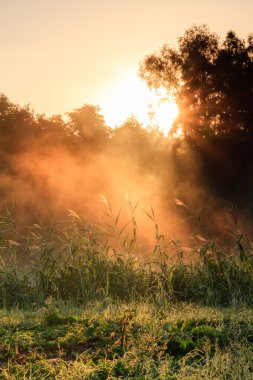 Chateau seehof. manzara trekking iz ile Barok chateau bavaria, Almanya için sabah vuruldu.