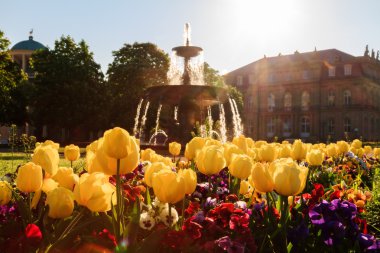 sıcak bir sabah bir çeşme Almanya stuttgart palace park önünde çiçek güzel resmi