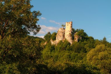 Ortaçağ Kalesi neideck Almanya