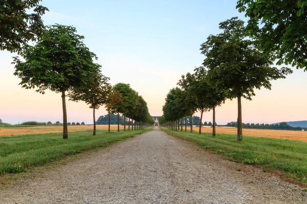 Avenida Sunrise — Fotografia de Stock