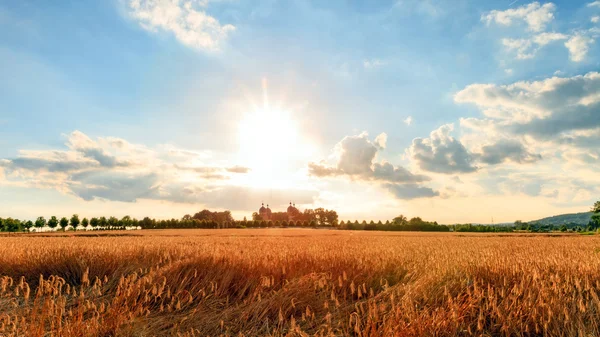 Der lange heiße Sommer. Hochsommerliche Landschaft am Schloss Seehof in Oberfranken mit reifem Getreide vor blauem Himmel — Stockfoto