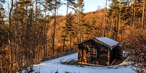 Kış aylarında Bavyera forrest küçük kulübede — Stok fotoğraf