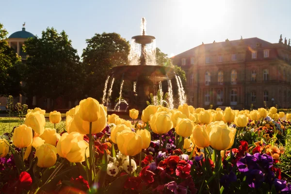 在一个温暖的早晨在德国斯图加特宫公园喷泉前花的可爱图片 — 图库照片