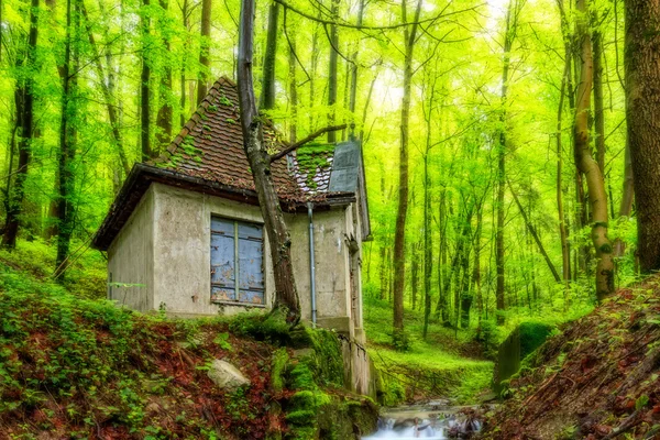 Maison de l'eau de forêt — Photo