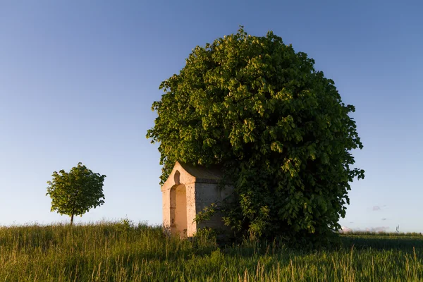Kapelle vor einem Baum in Bayern, Deutschland — Stockfoto