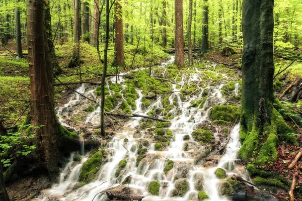 Torrent after rain — Stock Photo, Image