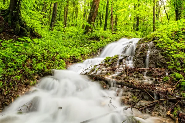 Sturzbach nach Regen — Stockfoto