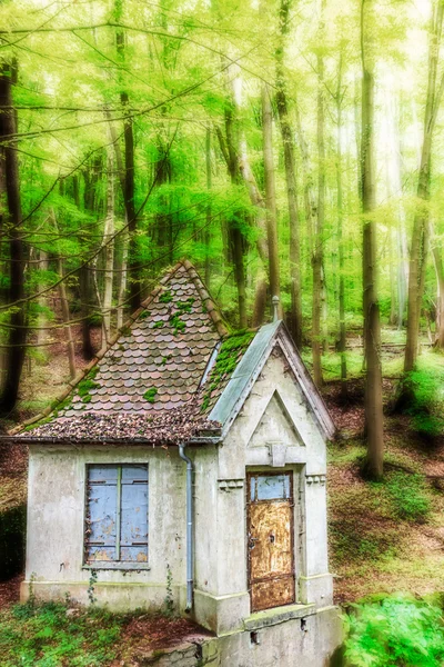 Casa da água da floresta — Fotografia de Stock