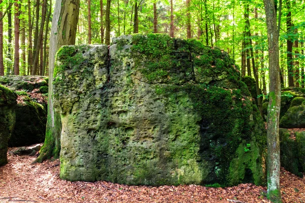 Heilige druïde grove in Duitsland — Stockfoto