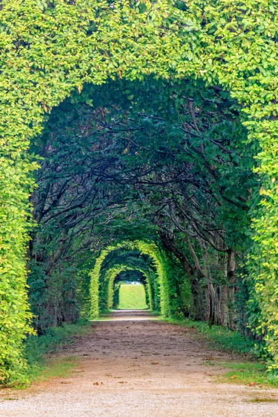 Arc d'un hedgemaze bavarois — Photo