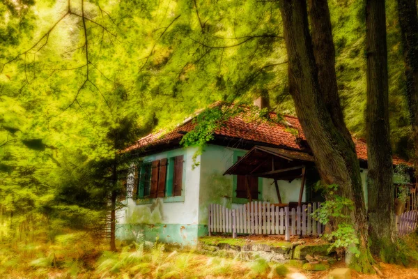 Bavorské koncem léta lesa obrázek — Stock fotografie