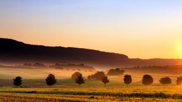 Foggy morgon landskap — Stockfoto