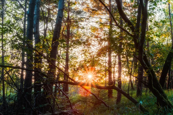 Solnedgang i fjellene – stockfoto