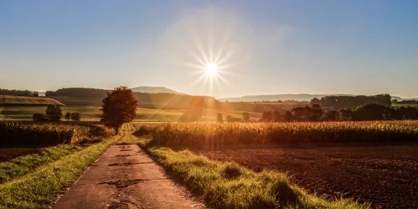 Mooie hooibalen — Stockfoto