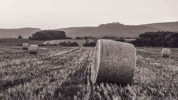 Lovely Hay Bales — Stock Photo, Image