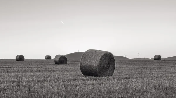 Lovely Hay Bales — Stock Photo, Image