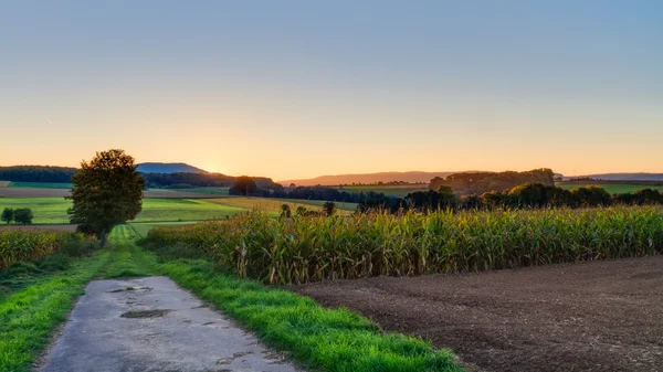 बावरिया, युरोप मध्ये सुंदर शरद ऋतू सूर्योदय — स्टॉक फोटो, इमेज