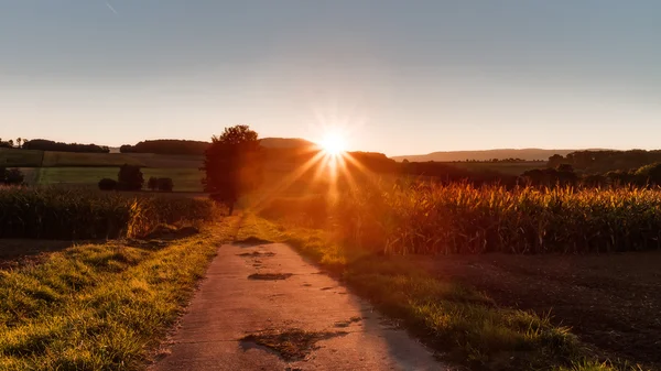 Encantador nascer do sol de outono na Baviera, Europa — Fotografia de Stock