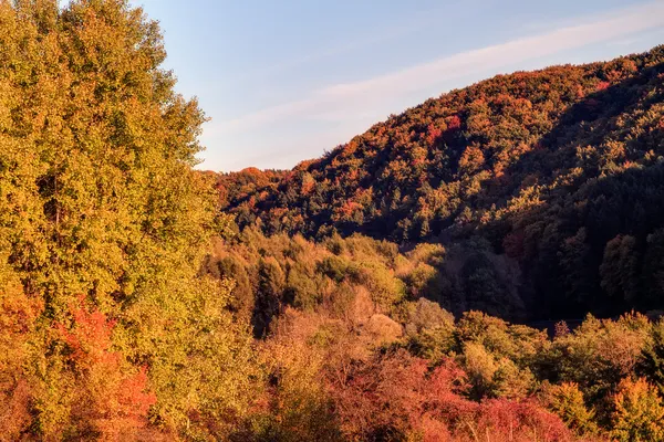 Idyllic Autumn Scenery with Colorful Orange Golden Trees near a lovely Country Road in the rocky Jura Mountains of Bavaria, Germany. Sunset in Fall with a wonderful clear sky in the rural countryside. — Stock Photo, Image