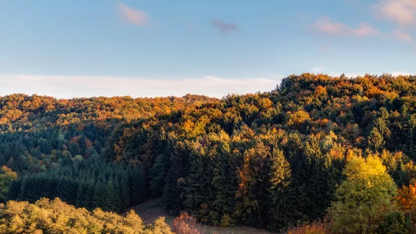 Idyllische herfst landschap met kleurrijke oranje gouden bomen in de buurt van een mooie landweg in de rotsachtige bergen van de jura van Beieren, Duitsland. zonsondergang in de herfst met een prachtige heldere hemel in het platteland. — Stockfoto