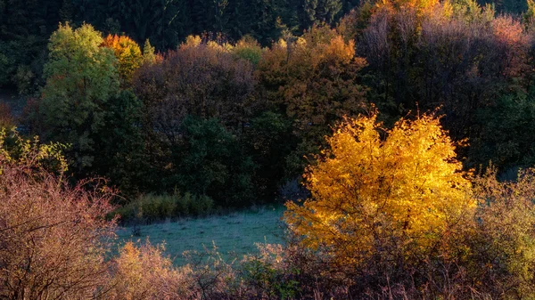 Idyllische herfst landschap met kleurrijke oranje gouden bomen in de buurt van een mooie landweg in de rotsachtige bergen van de jura van Beieren, Duitsland. zonsondergang in de herfst met een prachtige heldere hemel in het platteland. — Stockfoto