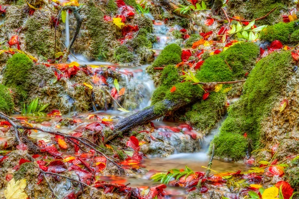 Úžasné podzimní lesní potok krásné barevné listí na zemi, zarostlé mechem v Bavorsku, Německo Evropa — Stock fotografie