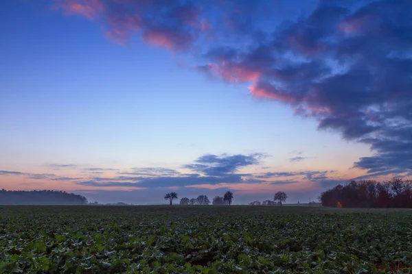 Paisagem de Inverno Rural da Baviera — Fotografia de Stock