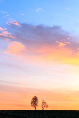 Romantik bahar sabahı kırsal Bavyera