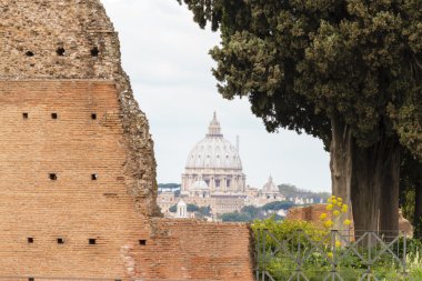 Roma cityview