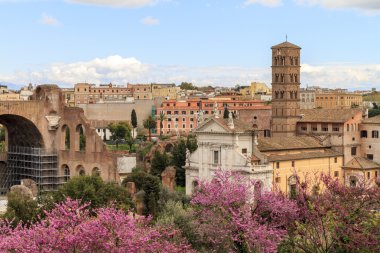 Roma cityview