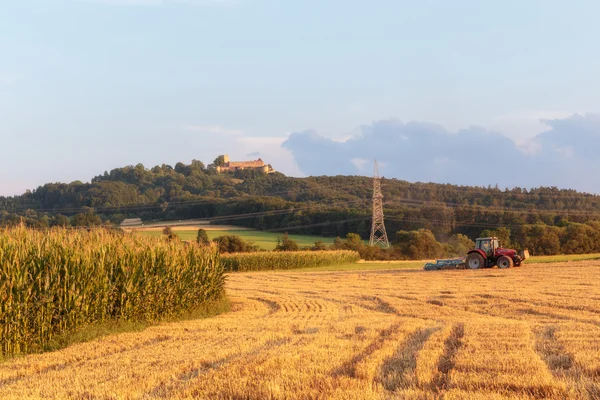 Paisagem do pôr do sol do verão do campo — Fotografia de Stock